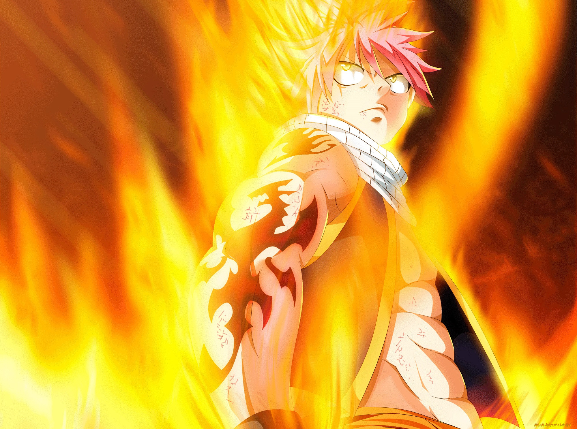 , fairy tail, , 